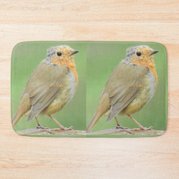 Item preview, Robin Photograph in Cannock Chase designed and sold by Paulele.