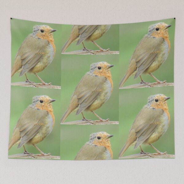 Item preview, Robin Photograph in Cannock Chase designed and sold by Paulele.
