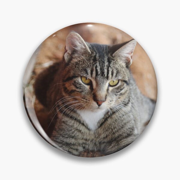 Item preview, Barn Cat designed and sold by Olivia Plasencia.