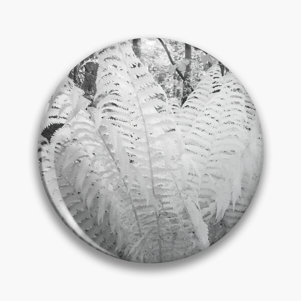 Item preview, Ferns in white. Infrared bw photography designed and sold by Jouko Lehto Photography.
