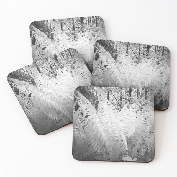 Item preview, Ferns in white. Infrared bw photography designed and sold by Jouko Lehto Photography.