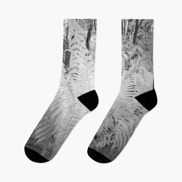 Item preview, Ferns in white. Infrared bw photography designed and sold by Jouko Lehto Photography.
