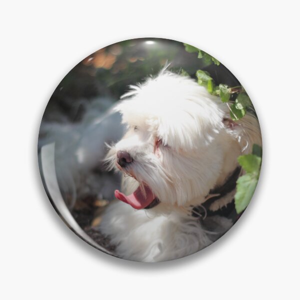 Item preview, Ira designed and sold by Olivia Plasencia.