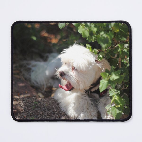 Item preview, Ira designed and sold by Olivia Plasencia.