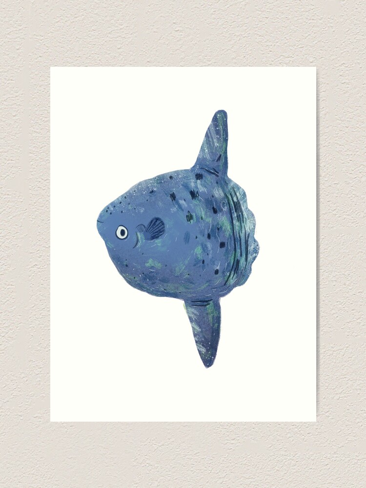 Mola Mola Sunfish Art Print for Sale by tarynjohnson