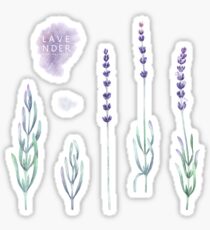 Watercolor lavender collection Sticker