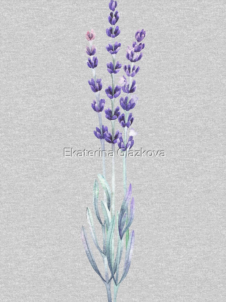 Watercolor lavender by Glazkova