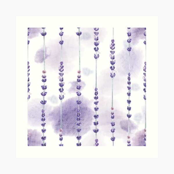 Watercolor lavender Art Print