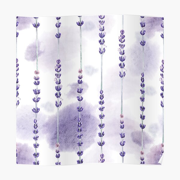 Watercolor lavender Poster