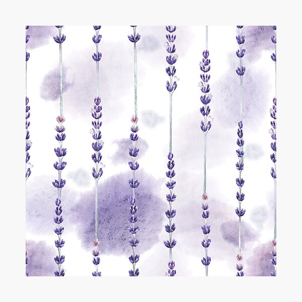 Aquarell Lavendel Fotodruck