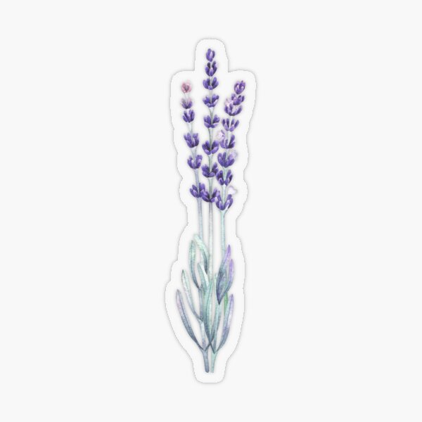 Watercolor lavender Transparent Sticker