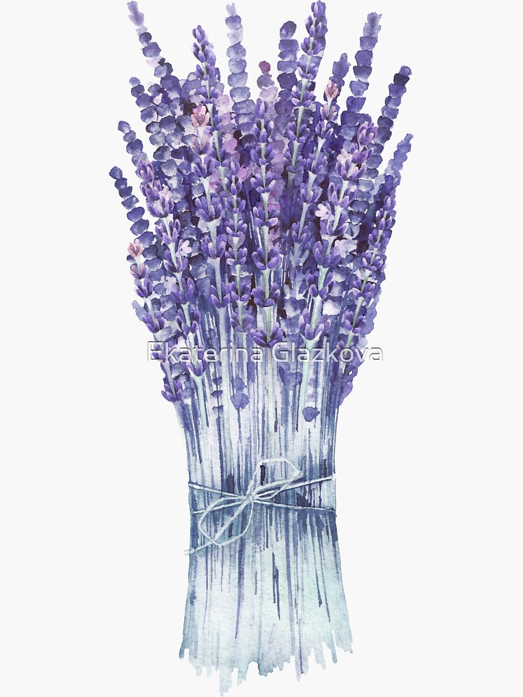 Watercolor lavender bouquet by Glazkova