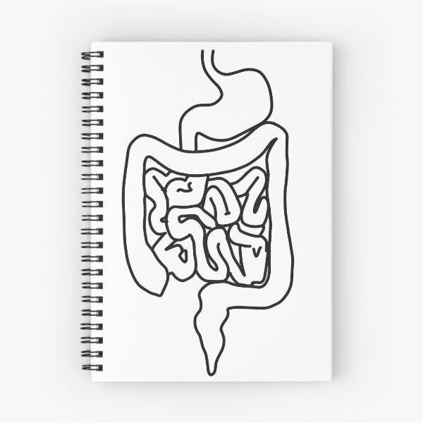 Item preview, Digestive system medical lineart designed and sold by Drevych-shop.