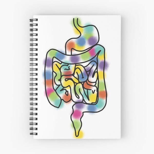 Item preview, Rainbow Digestive system medical lineart designed and sold by Drevych-shop.