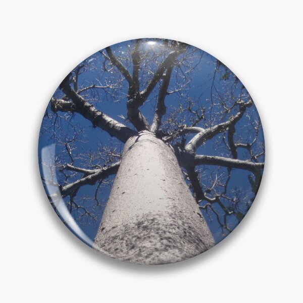 Item preview, baobab Madagascar designed and sold by BeLavender.
