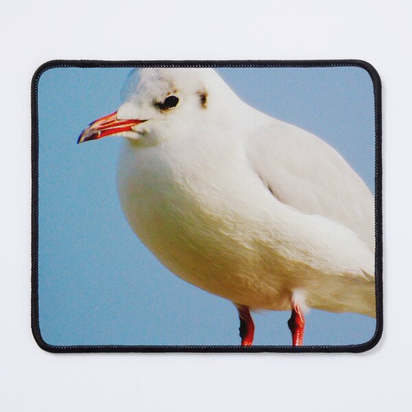 Item preview, The Seagull designed and sold by ART22.