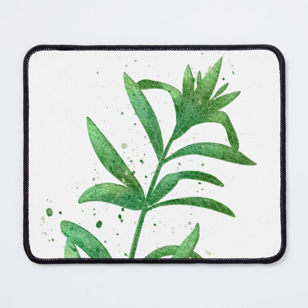 Item preview, Watercolor Culinary Herbs: Tarragon designed and sold by LittleSunShoppe.
