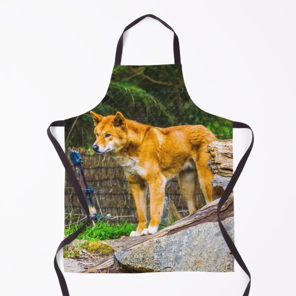 Item preview, Dingo on the Alert designed and sold by Steven Jodoin.