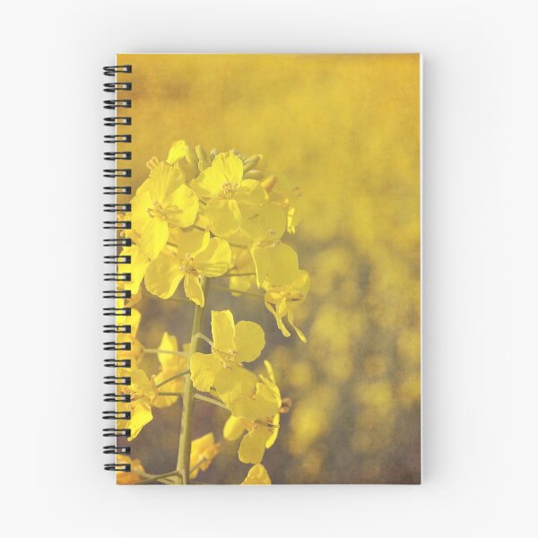 Item preview, Fields of gold. designed and sold by Lyn  Randle.