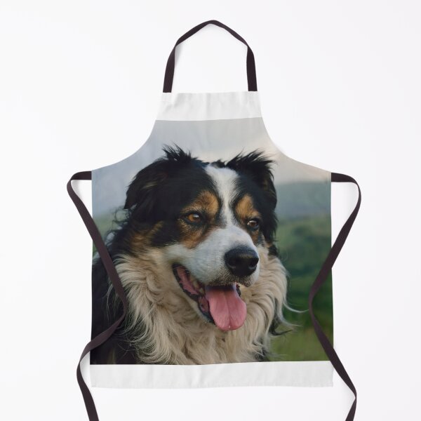 Item preview, Laddie designed and sold by Michael Haslam.