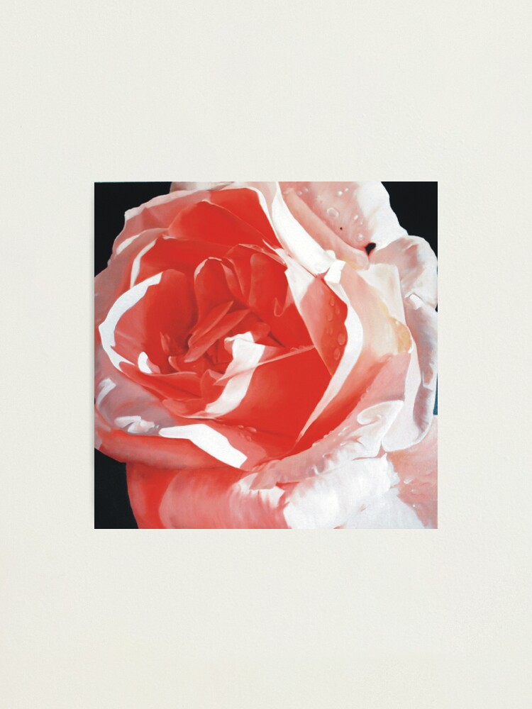 Alternate view of Cathy's Rose Photographic Print