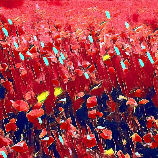 Magical poppy field