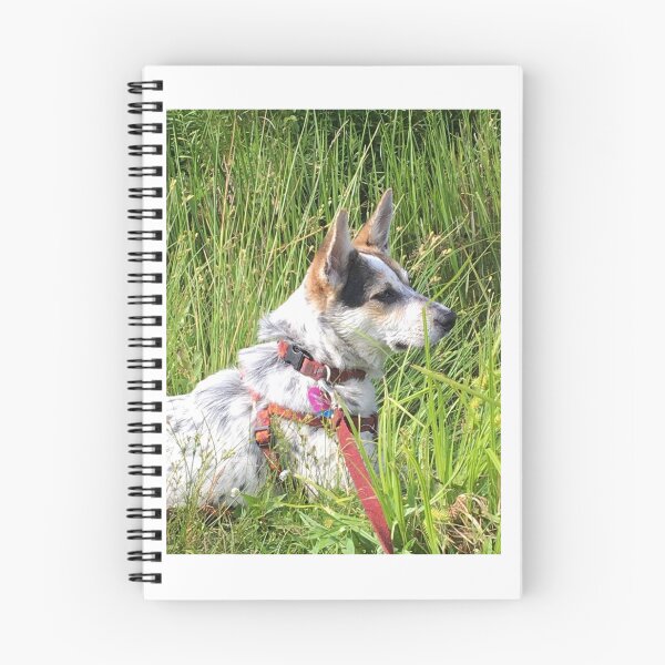 Item preview, Nim at Brady Lake designed and sold by NimsNature.