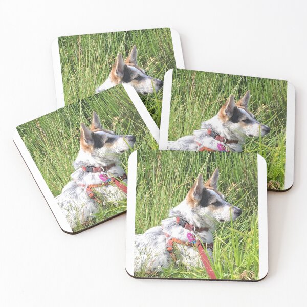 Item preview, Nim at Brady Lake designed and sold by NimsNature.