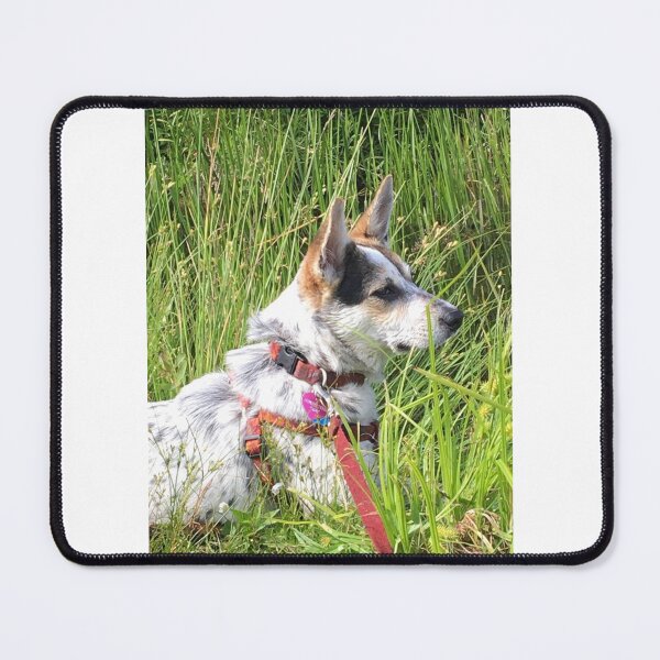 Item preview, Nim at Brady Lake designed and sold by NimsNature.