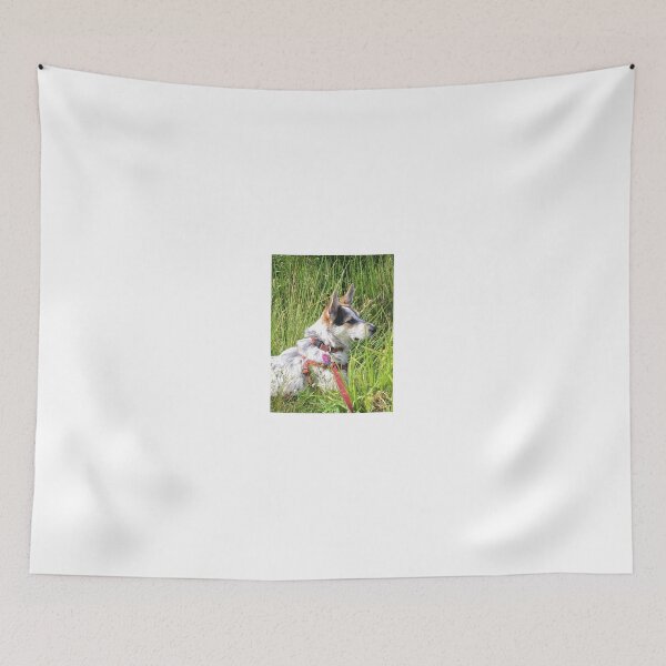 Item preview, Nim at Brady Lake designed and sold by NimsNature.