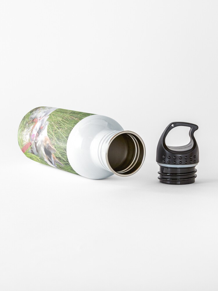 Alternate view of Nim at Brady Lake Water Bottle