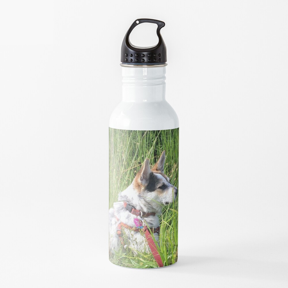 Nim at Brady Lake Water Bottle
