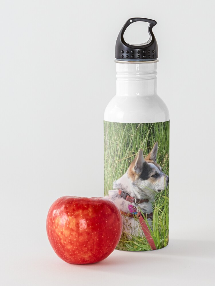 Alternate view of Nim at Brady Lake Water Bottle