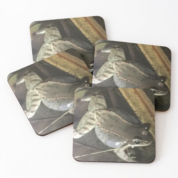 Item preview, Wood Frog 1 designed and sold by NimsNature.