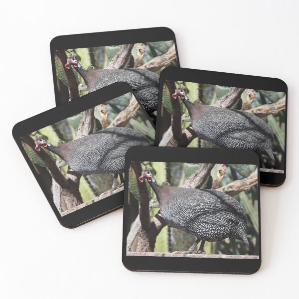 Item preview, Guineafowl (Ginney Hen) designed and sold by CarolM.