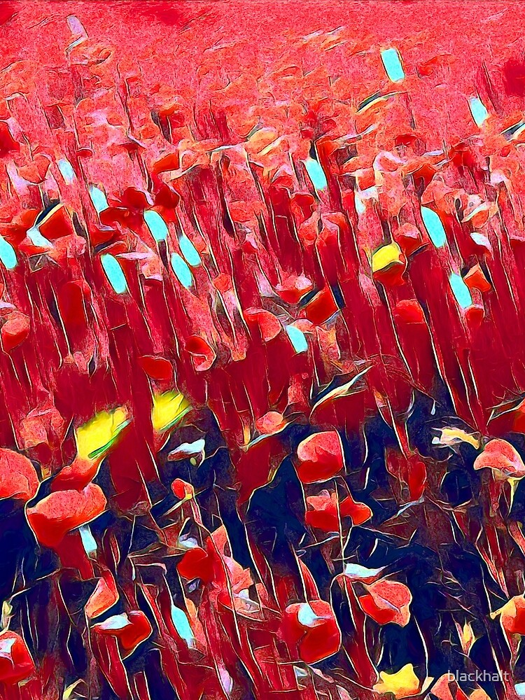 Magical poppy field by blackhalt