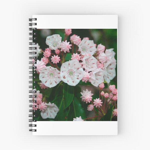 Item preview, Mountain Laurel designed and sold by Annlynn Ward.