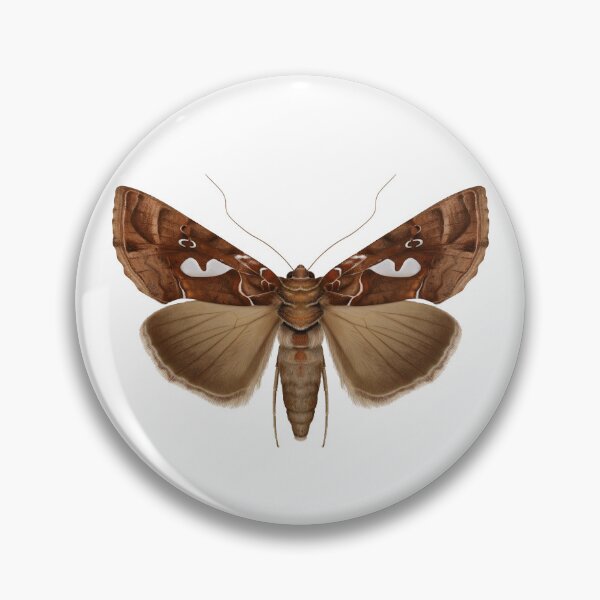 Artikelvorschau, Bilobed Looper Mottenmalerei entworfen und verkauft von M. "Moth Monarch" Capaldi.