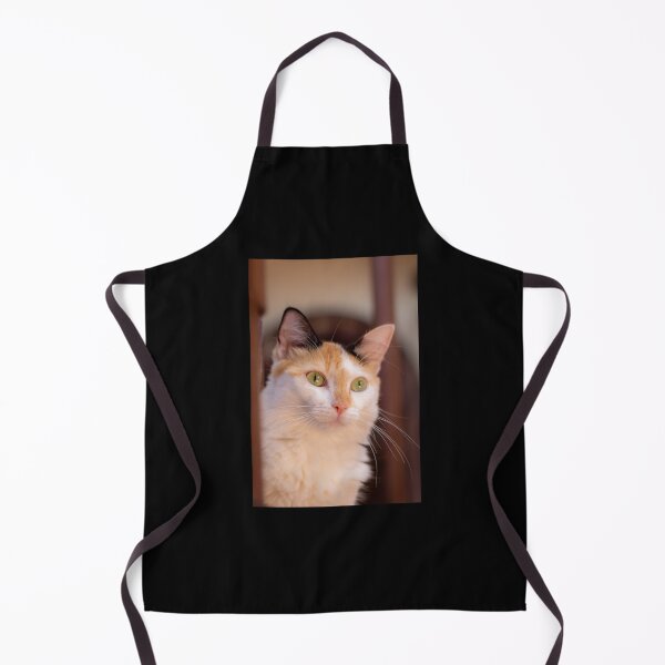 Item preview, the cat with the sweet look designed and sold by ricobarinas.