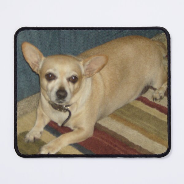 Item preview, Chihuahua chilling designed and sold by AlicesArtistry.