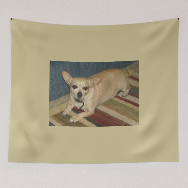 Item preview, Chihuahua chilling designed and sold by AlicesArtistry.