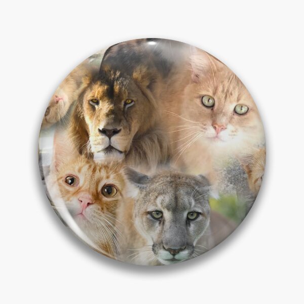 Item preview, Cat Photo Collage designed and sold by CarynKeller.