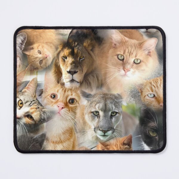 Item preview, Cat Photo Collage designed and sold by CarynKeller.