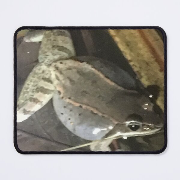 Item preview, Wood Frog 1 designed and sold by NimsNature.