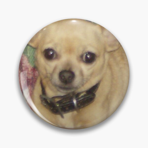 Item preview, Chihuahua resting designed and sold by AlicesArtistry.