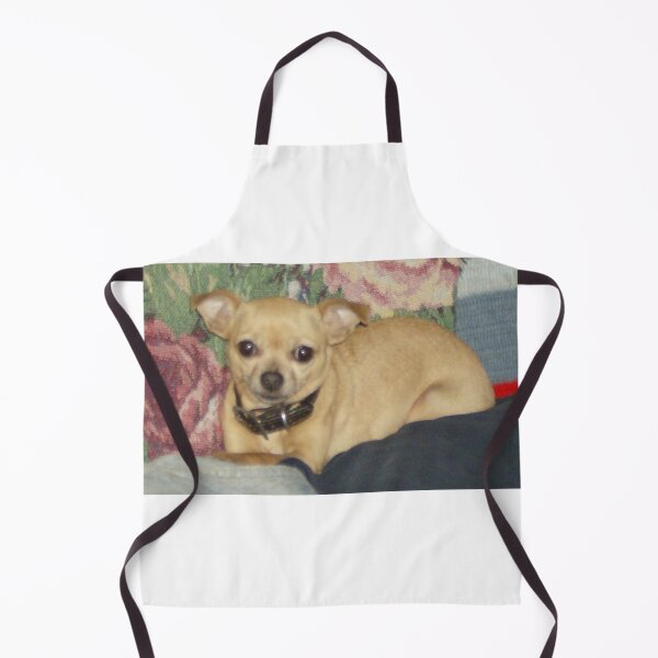 Item preview, Chihuahua resting designed and sold by AlicesArtistry.