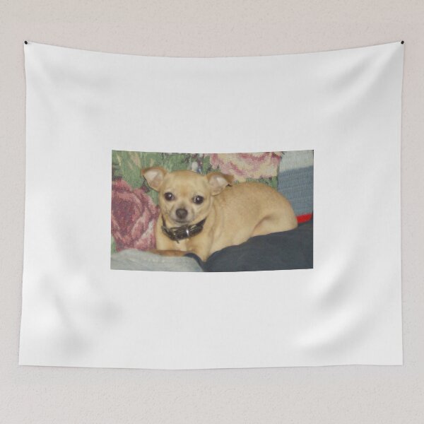 Item preview, Chihuahua resting designed and sold by AlicesArtistry.