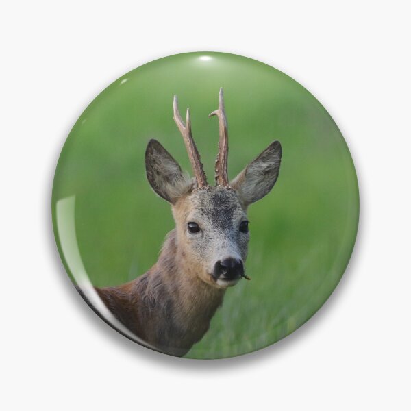 Item preview, Roebuck designed and sold by ART-SUNRISE.