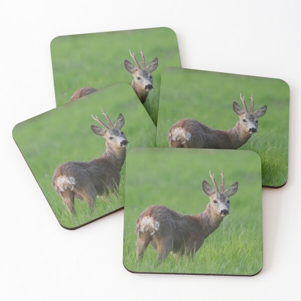 Item preview, Roebuck designed and sold by ART-SUNRISE.