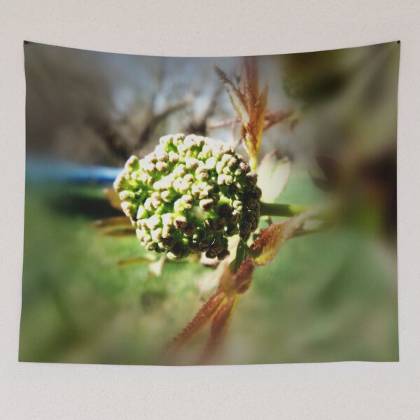 Item preview, Tree Blossom designed and sold by Nicole Kiefer.